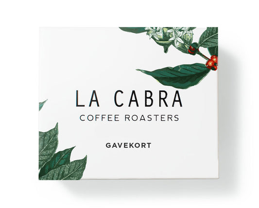 Gavekort
